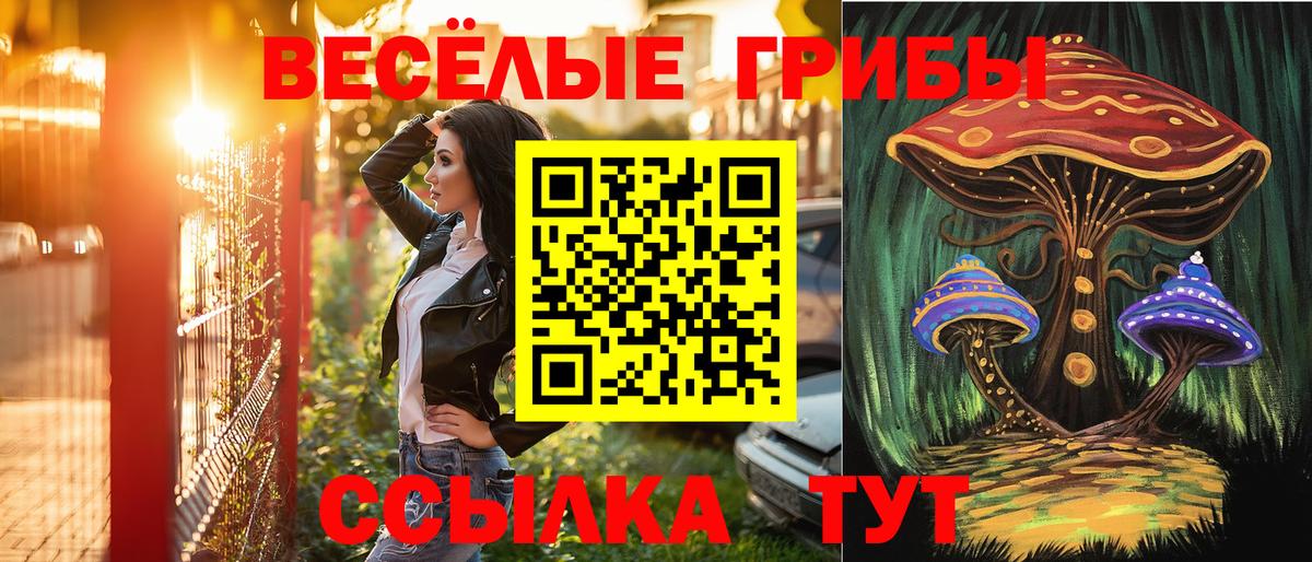Псилоцибиновые грибы прущие грибы Ярцево